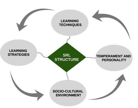 Figure 2. Various structures, that are interrelated, make SRL possible